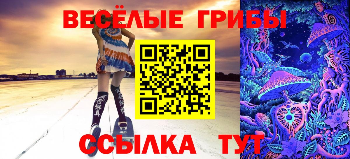 Псилоцибиновые грибы MAGIC MUSHROOMS Курган