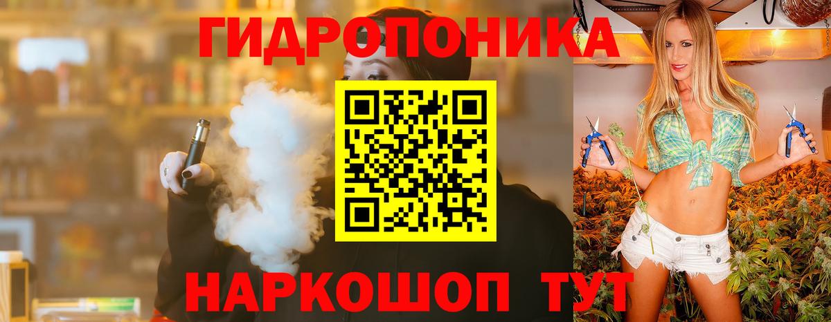 Каннабис планчик Курган